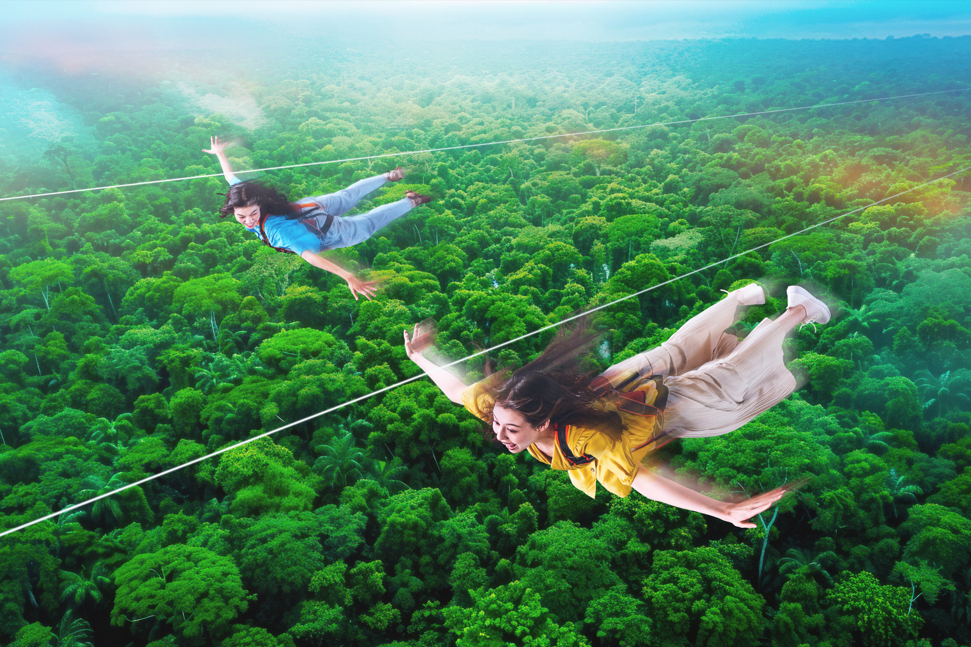 大自然の上空を約280mにわたり滑空する「スカイフェニックス」