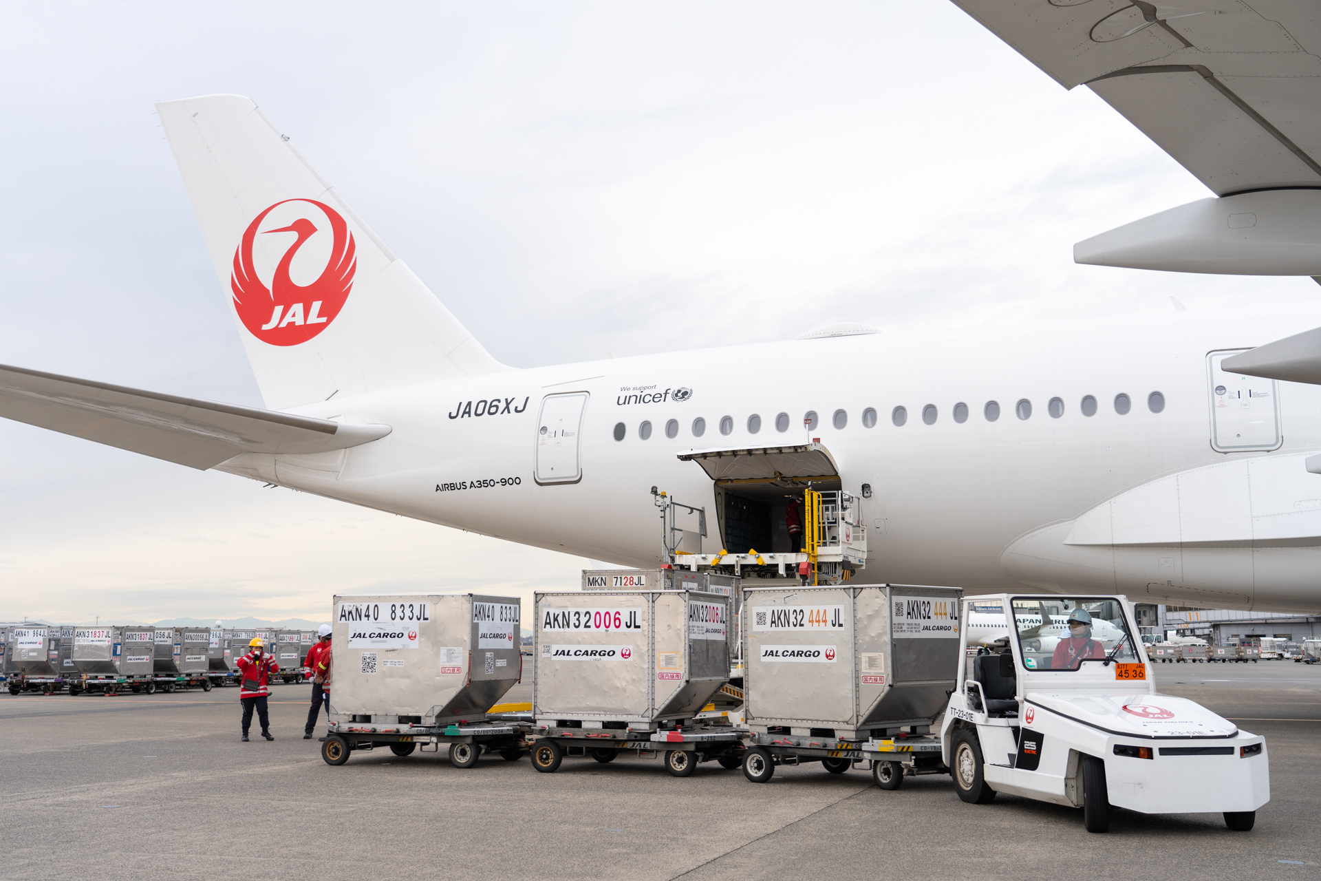 飛行機後方での作業の様子
