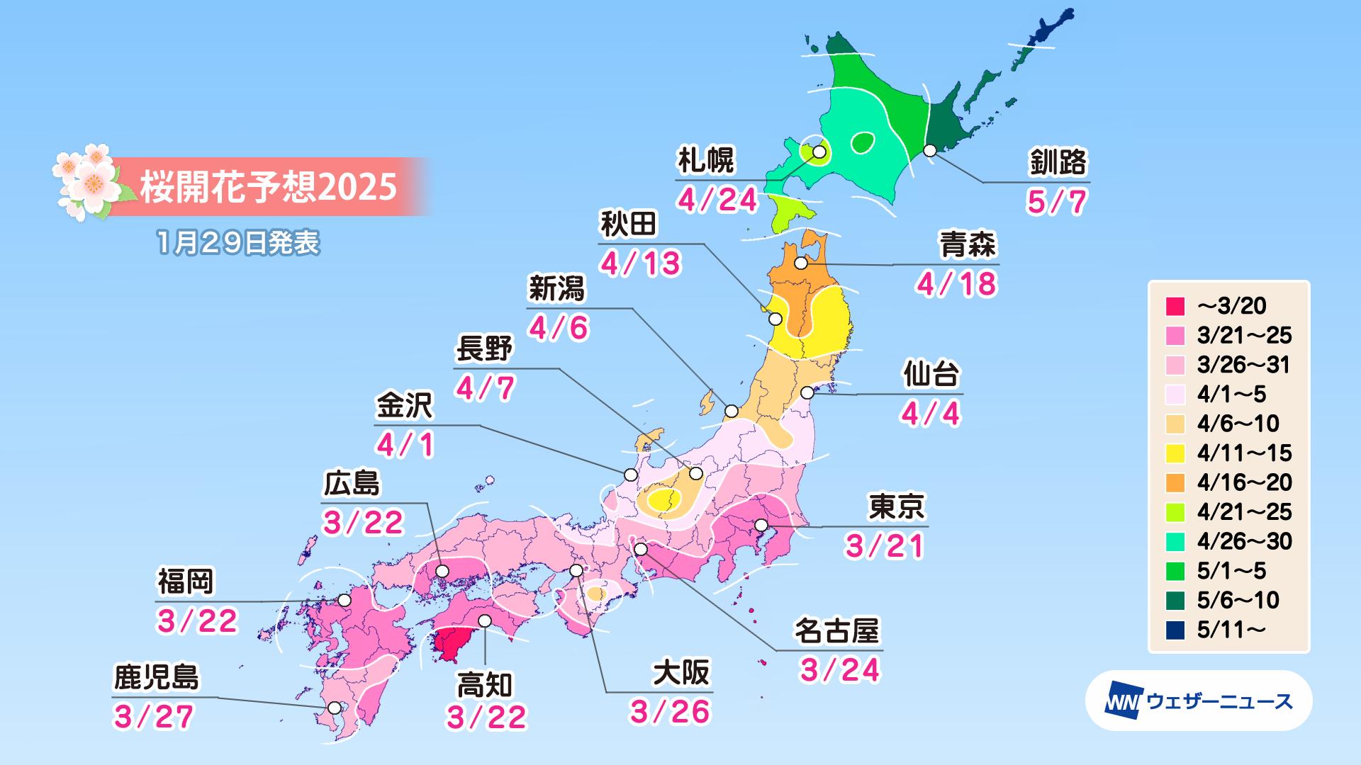 各都市の桜開花予想
