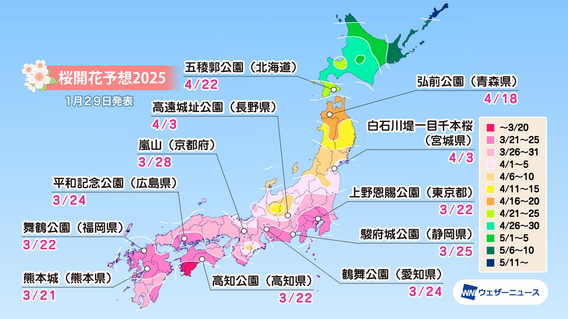各所の桜開花予想