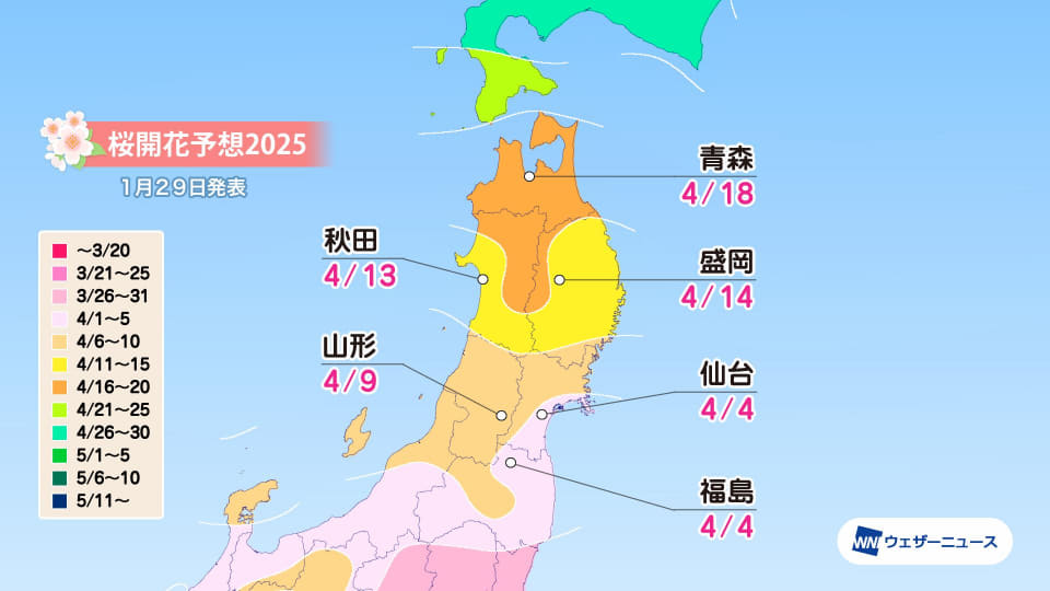 ウェザーニューズ、第二回桜開花予想。最速開花は東京3月21日。西