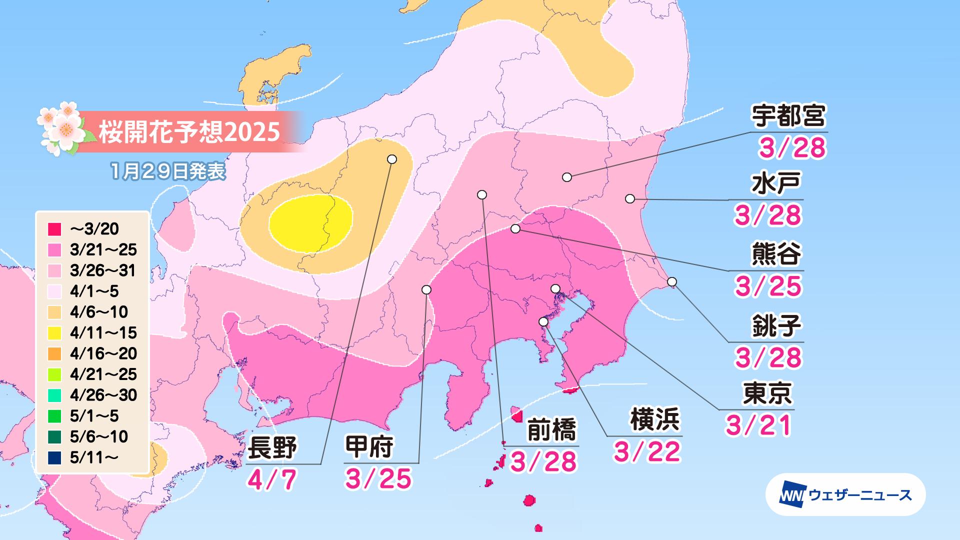 関東甲信の桜開花予想