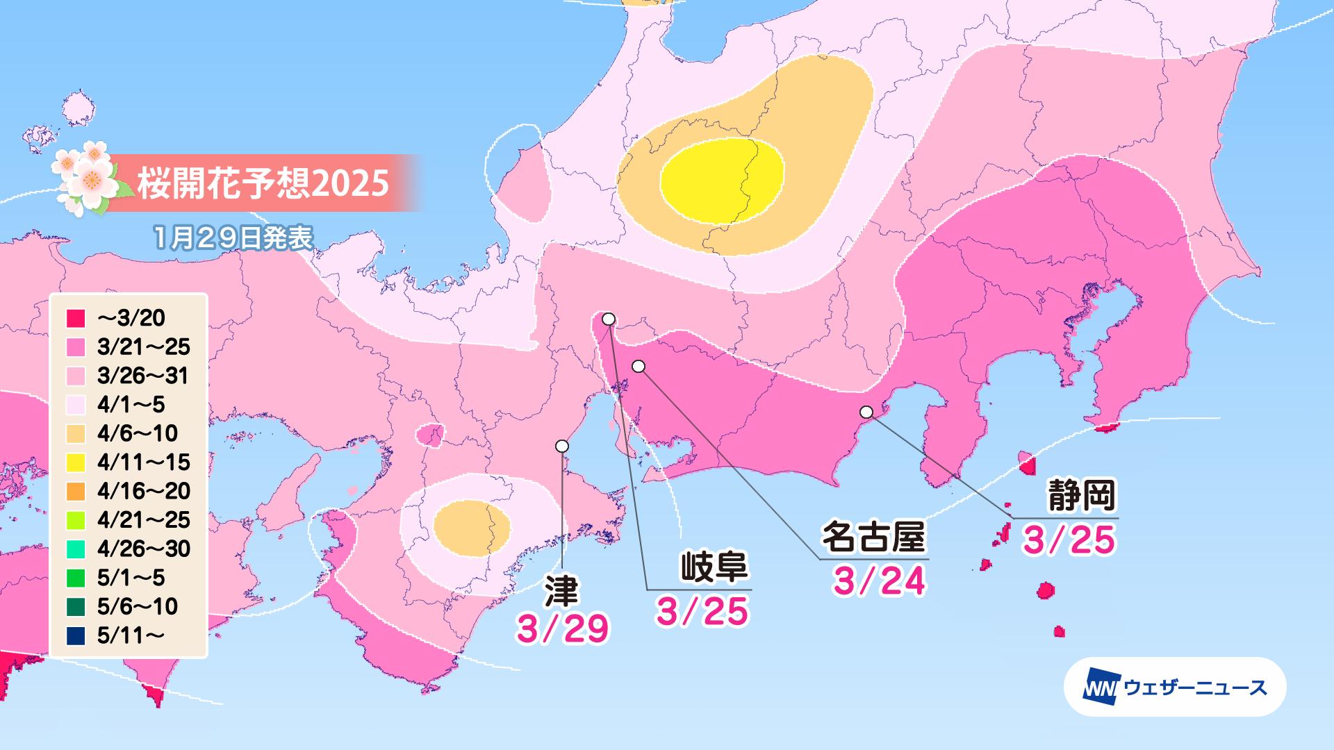 東海の桜開花予想