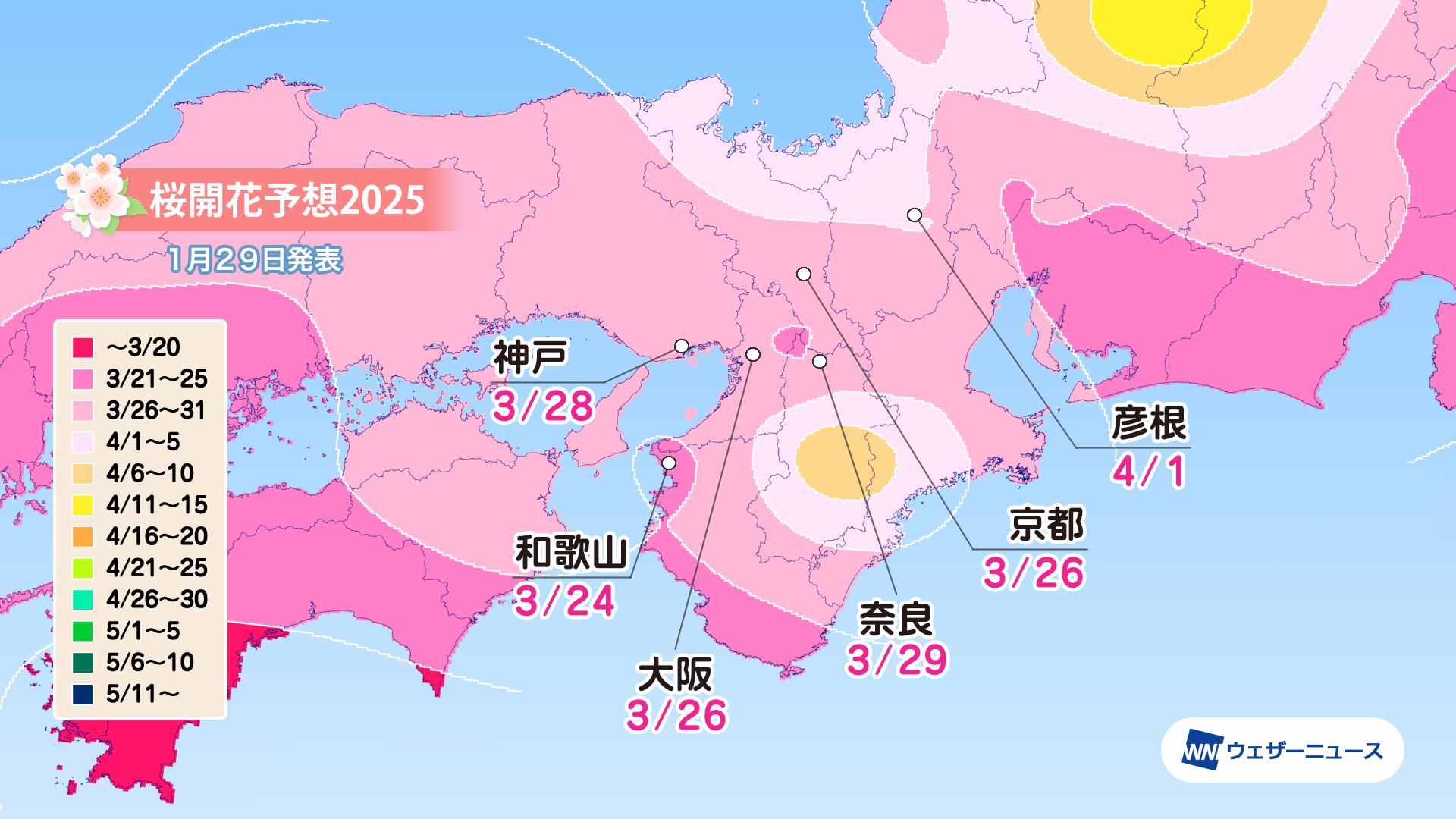 近畿の桜開花予想