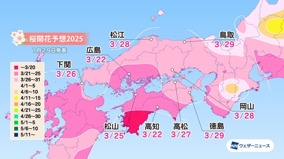 ⭐︎さくら　〜5/6までになるべく早く出来次第発送 19日SUZY様