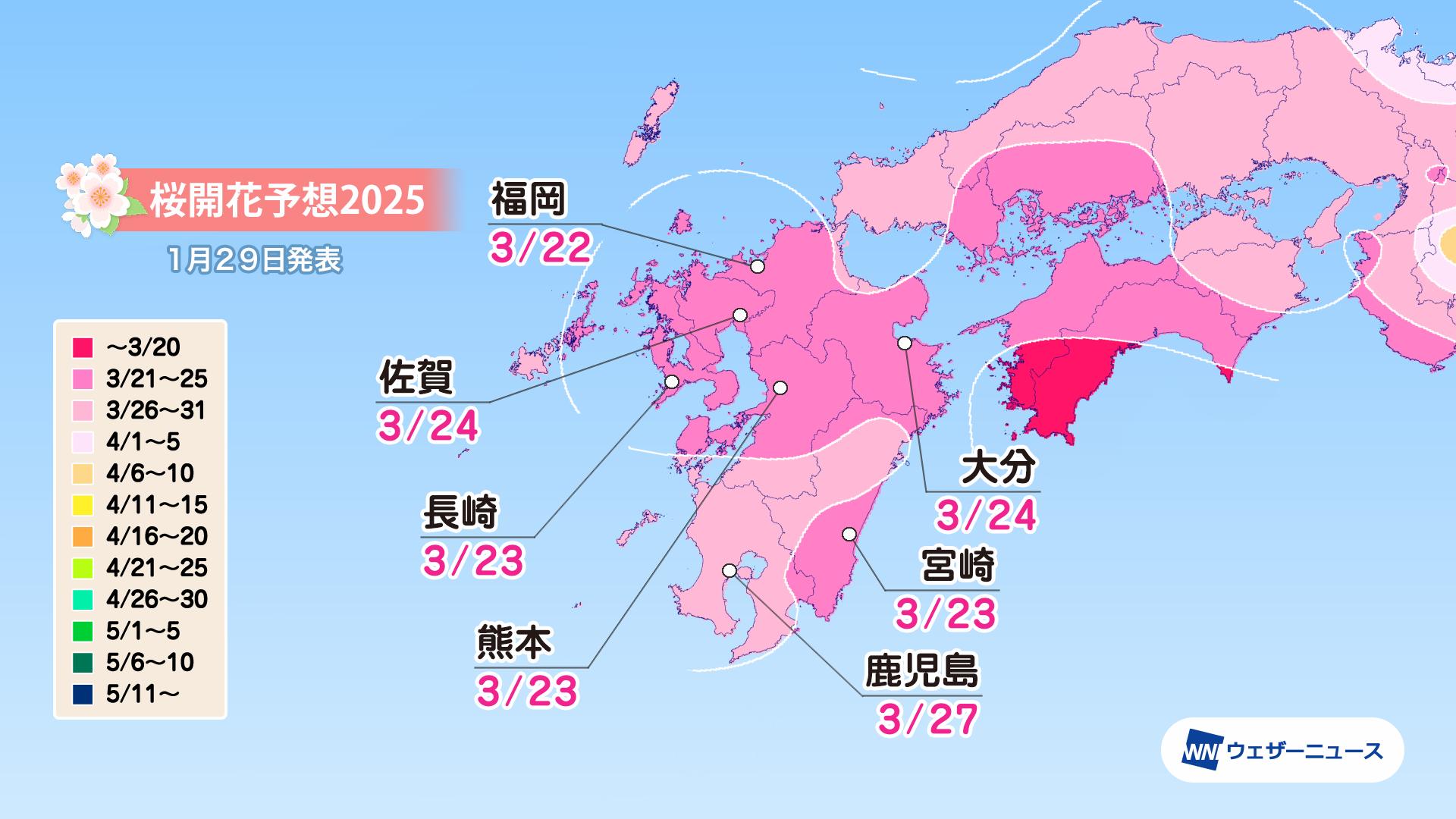九州の桜開花予想