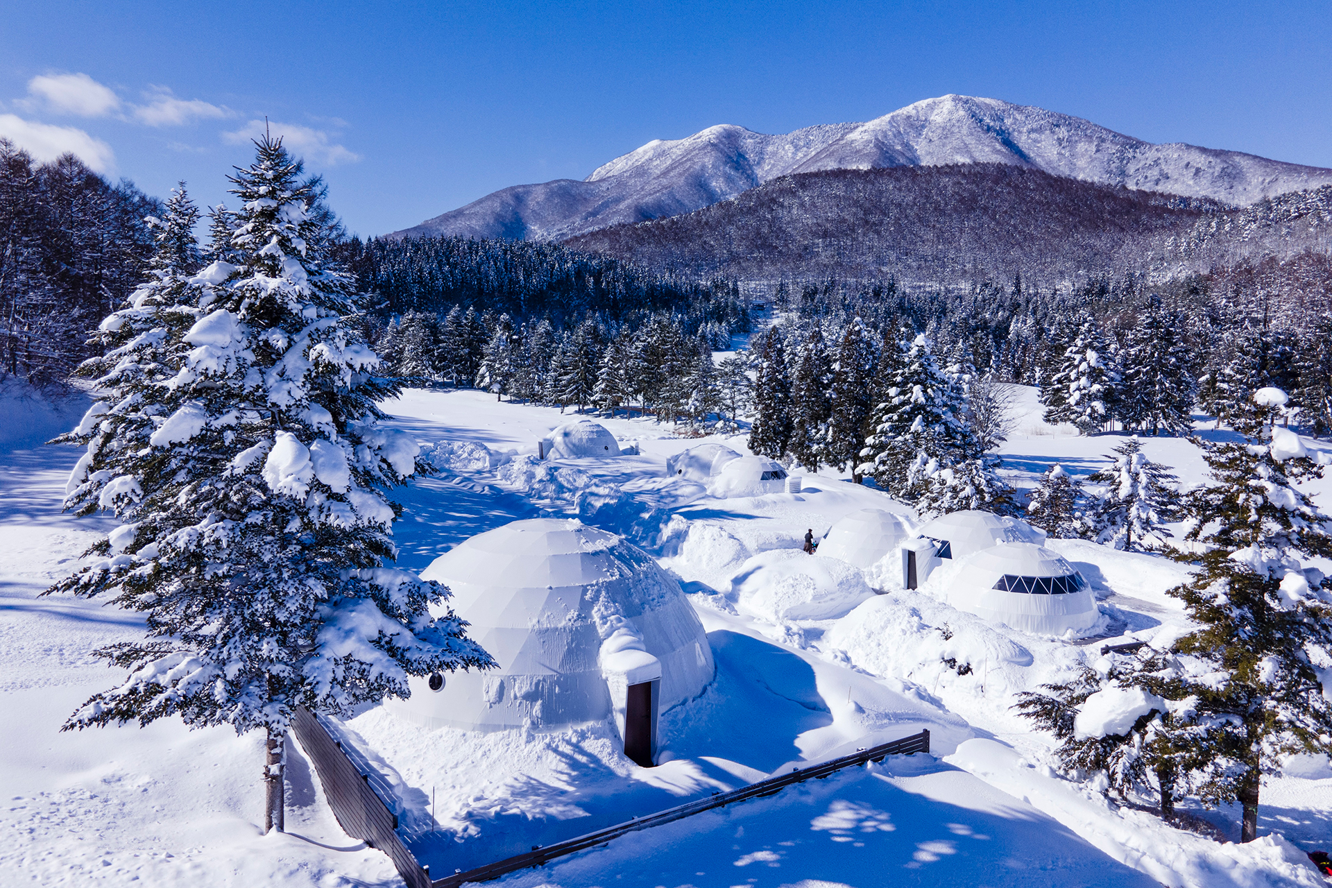 グランピング施設「GLAMPROOK飯綱高原」