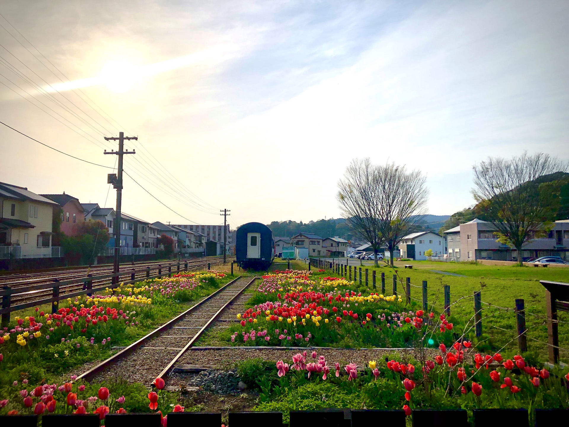 4月、天竜二俣駅ペレニアルガーデンの風景（提供：天竜浜名湖鉄道）