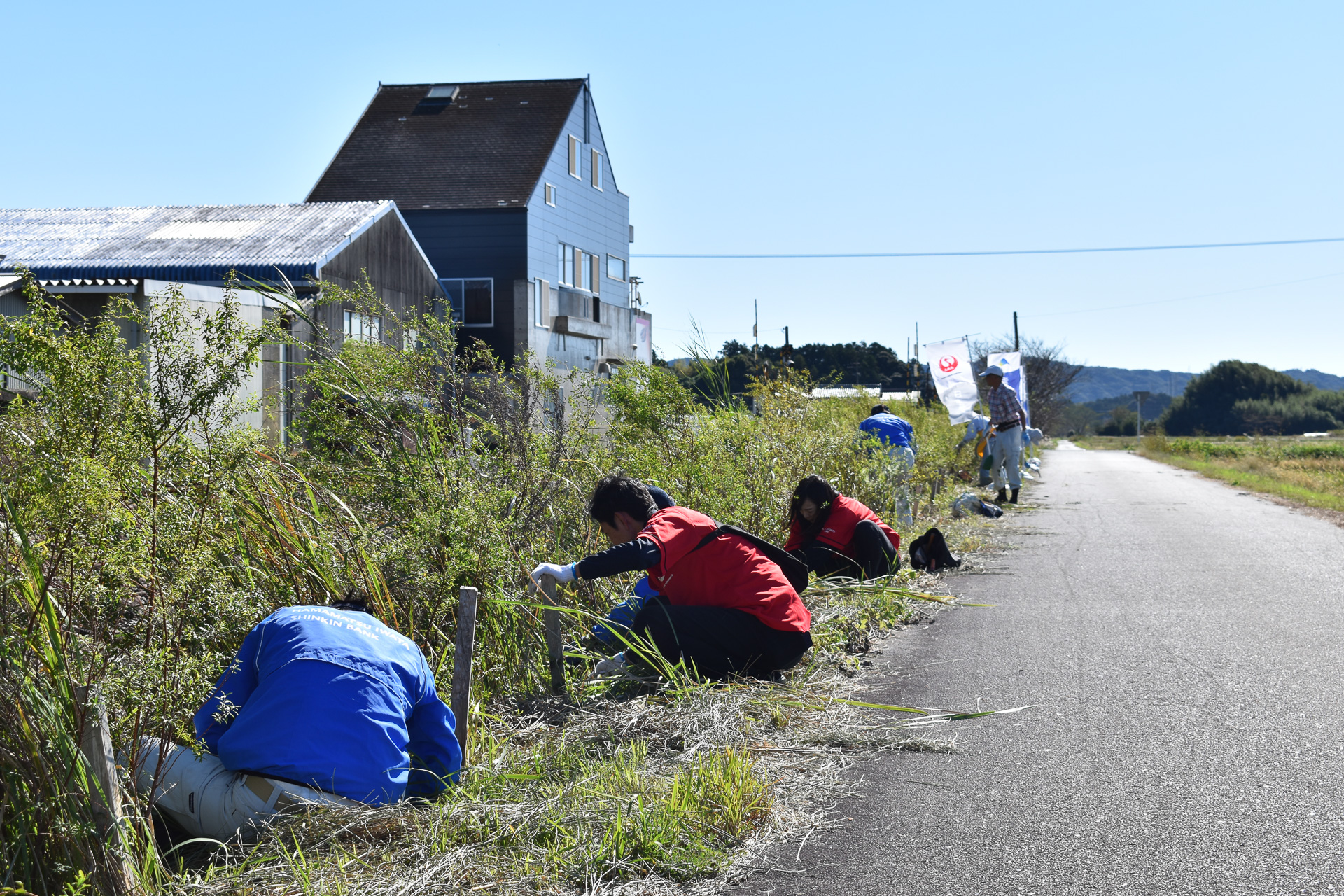 除草作業の様子