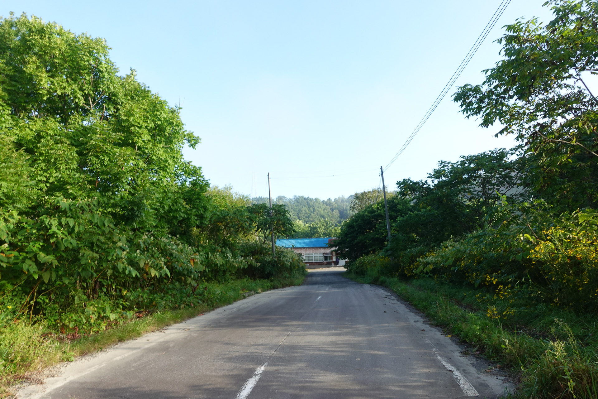 雄信内の駅前通り。すでに自然に還っている