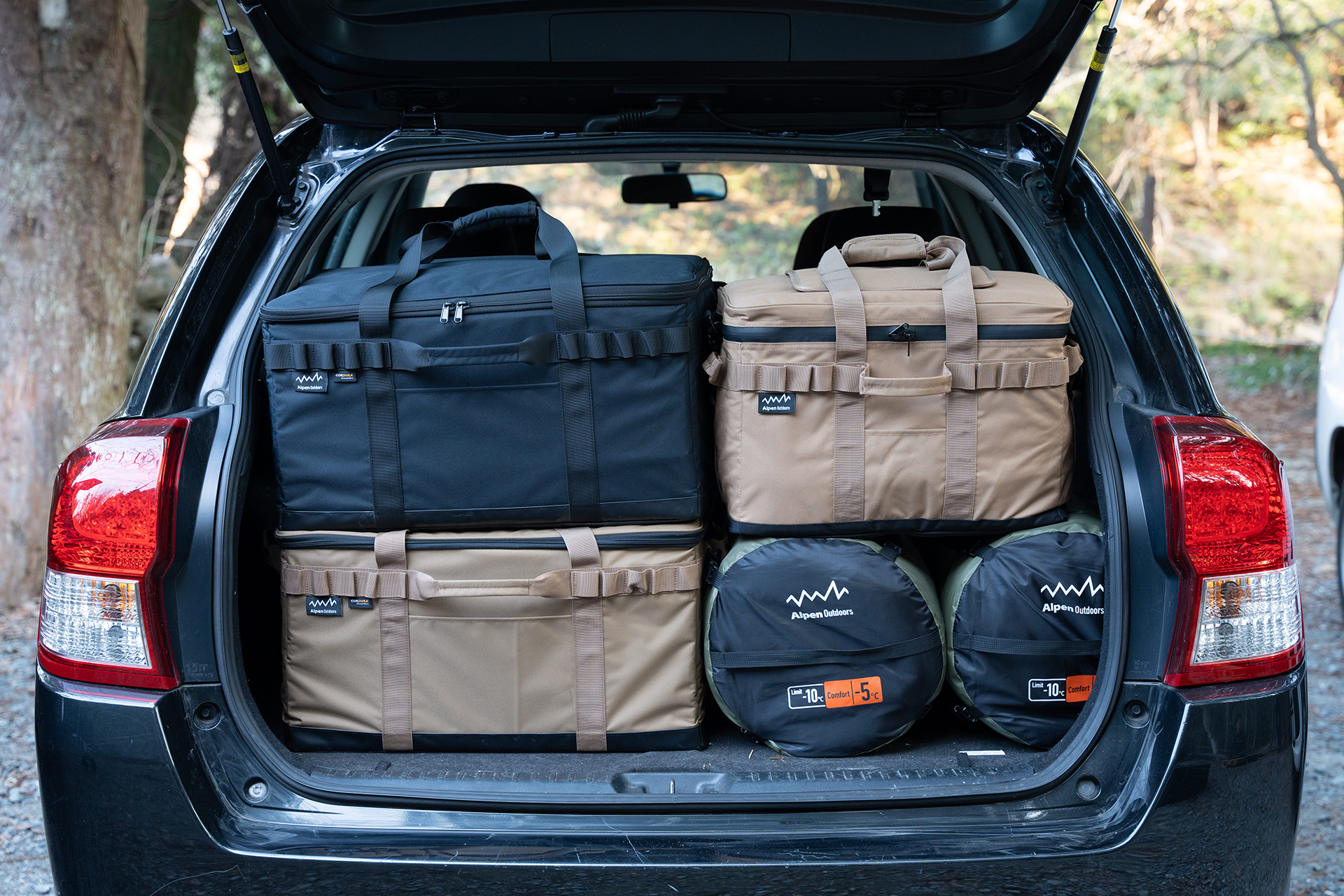 カラーはブラックとタン