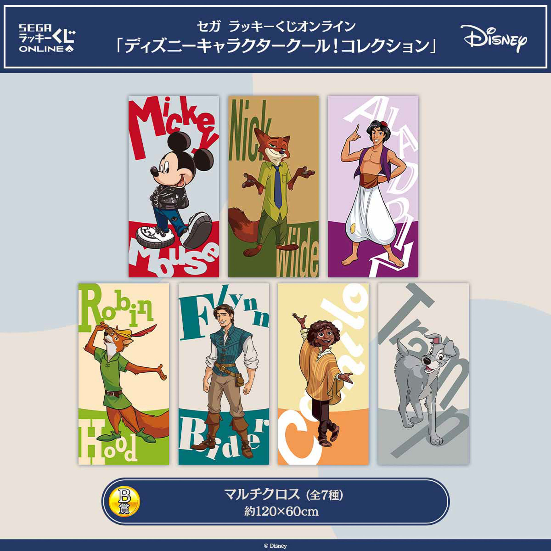 B賞：マルチクロス