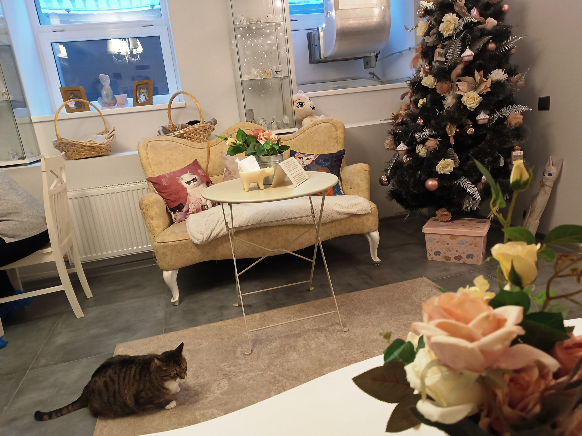 リガの猫カフェ「Kotoffski」