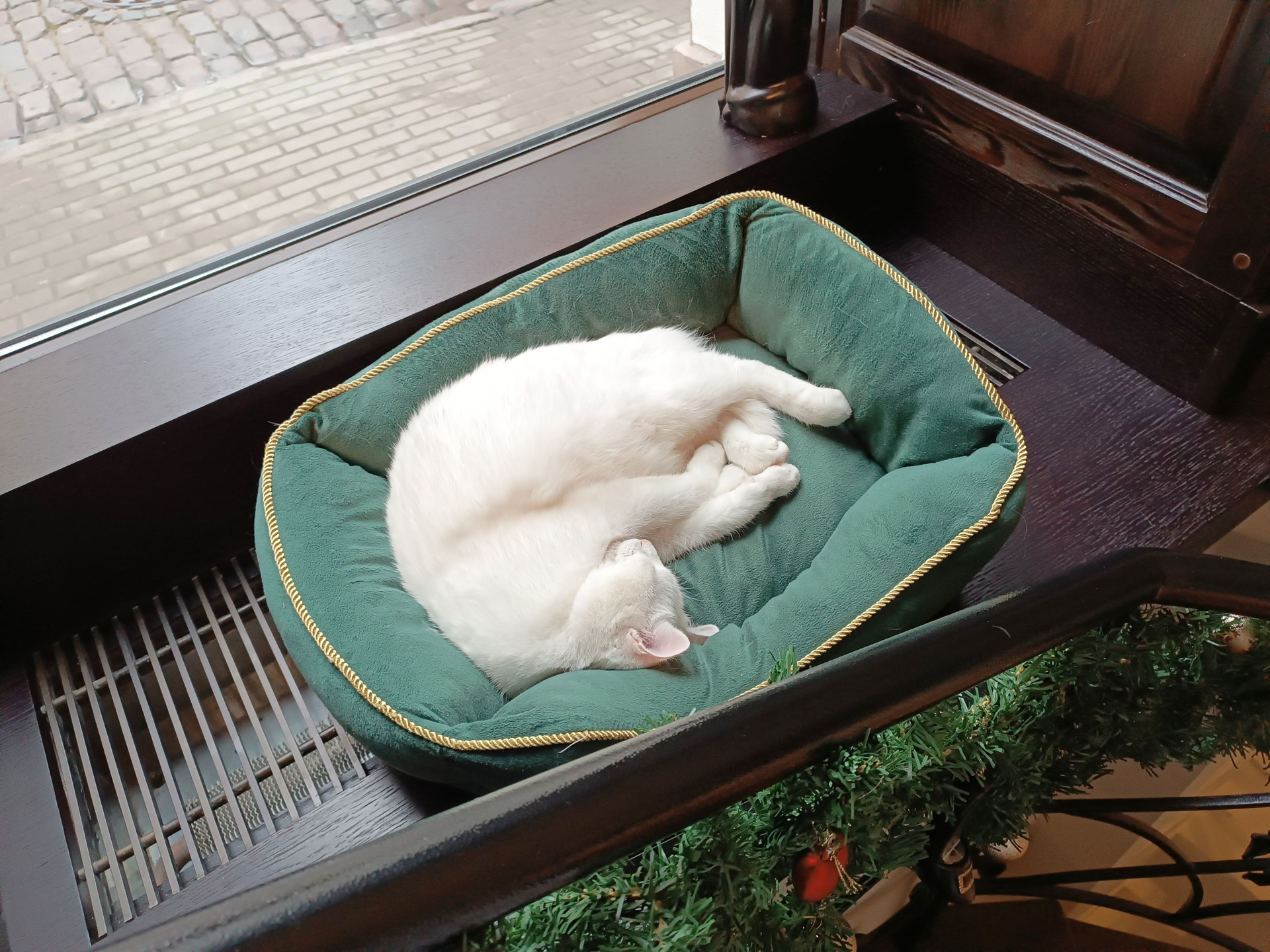 リガの猫カフェ「Kotoffski」