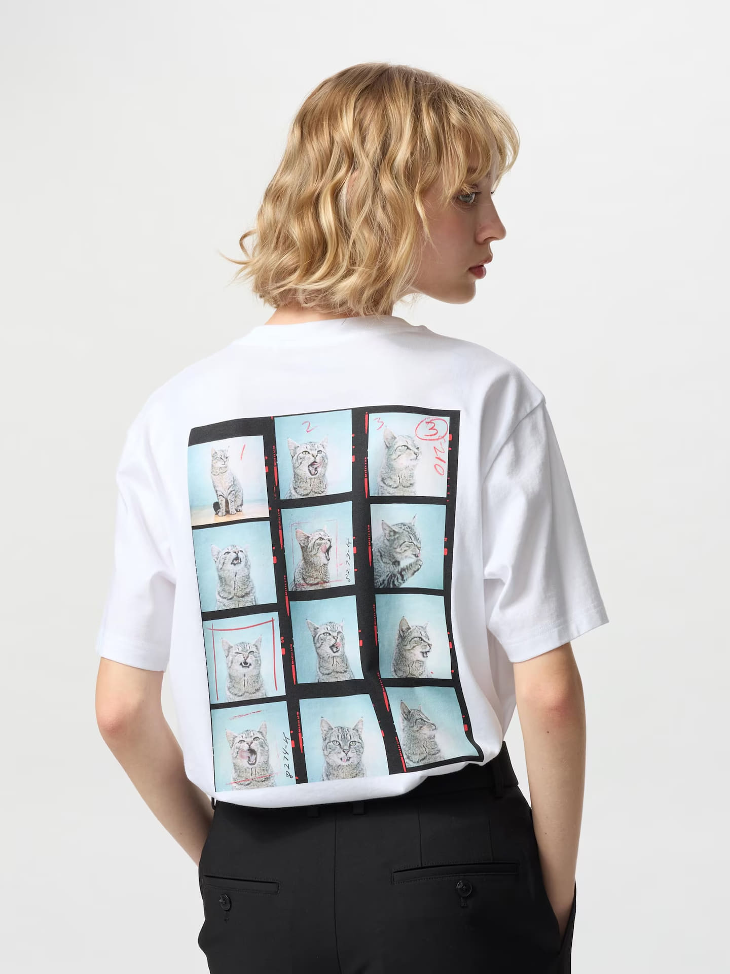 4月上旬には新たな3種類の猫Tシャツ（ウィメンズ）が追加発売　　&copy; Walter Chandoha Archive, Licensed by Trunk Archive