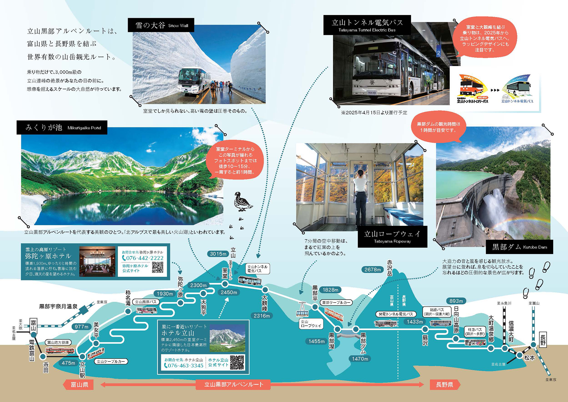 2025年のパンフレット