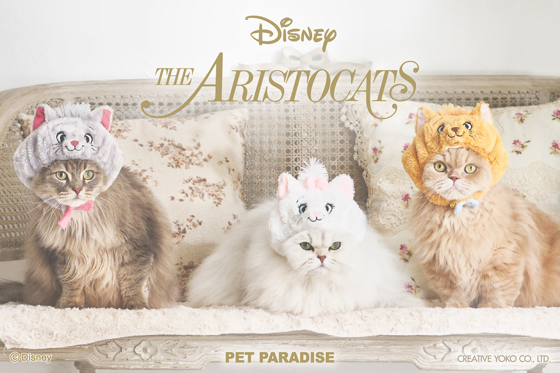 ディズニー映画「おしゃれキャット」の猫グッズがペットパラダイスから登場