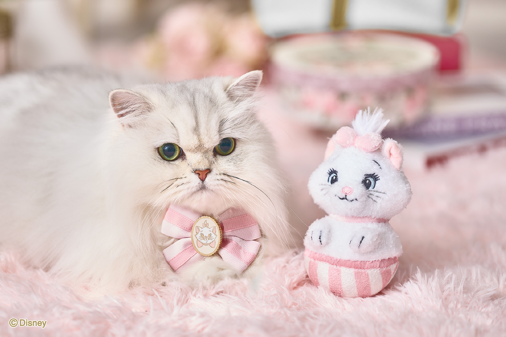 セットで揃えるとキャラクターコーデが叶う