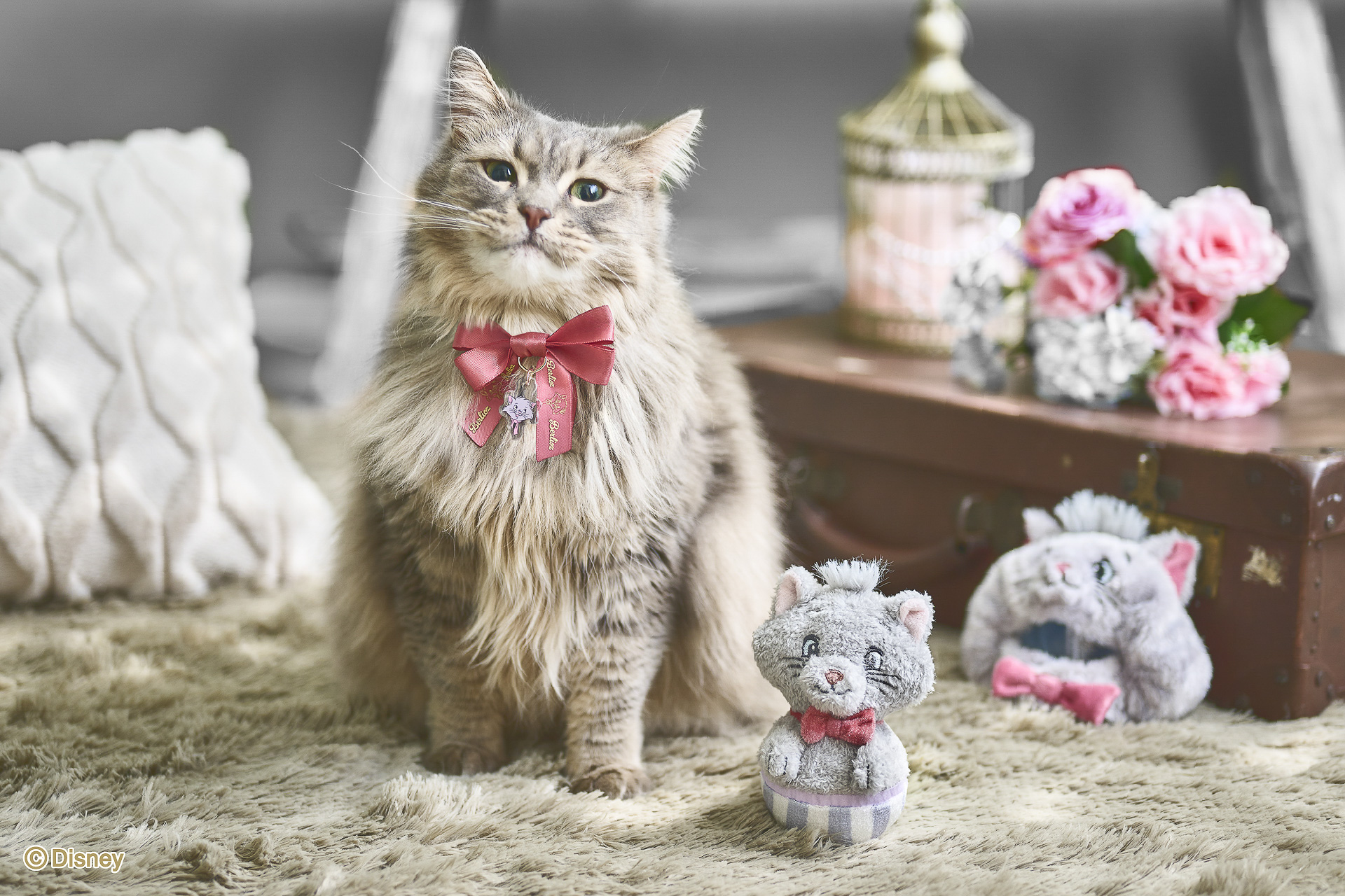 セットで揃えるとキャラクターコーデが叶う