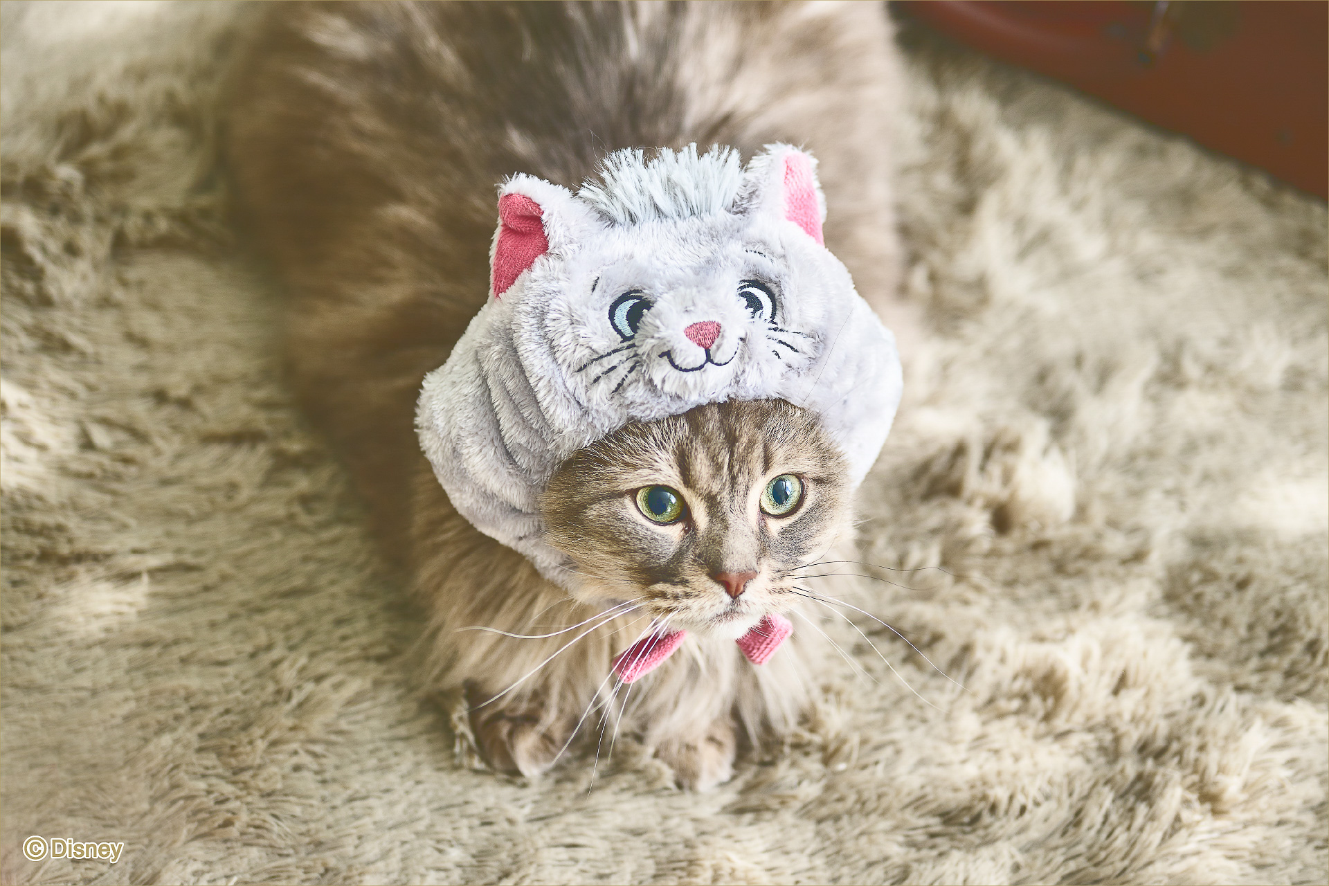 「なりきり帽子（ベルリオーズ）」（3080円）