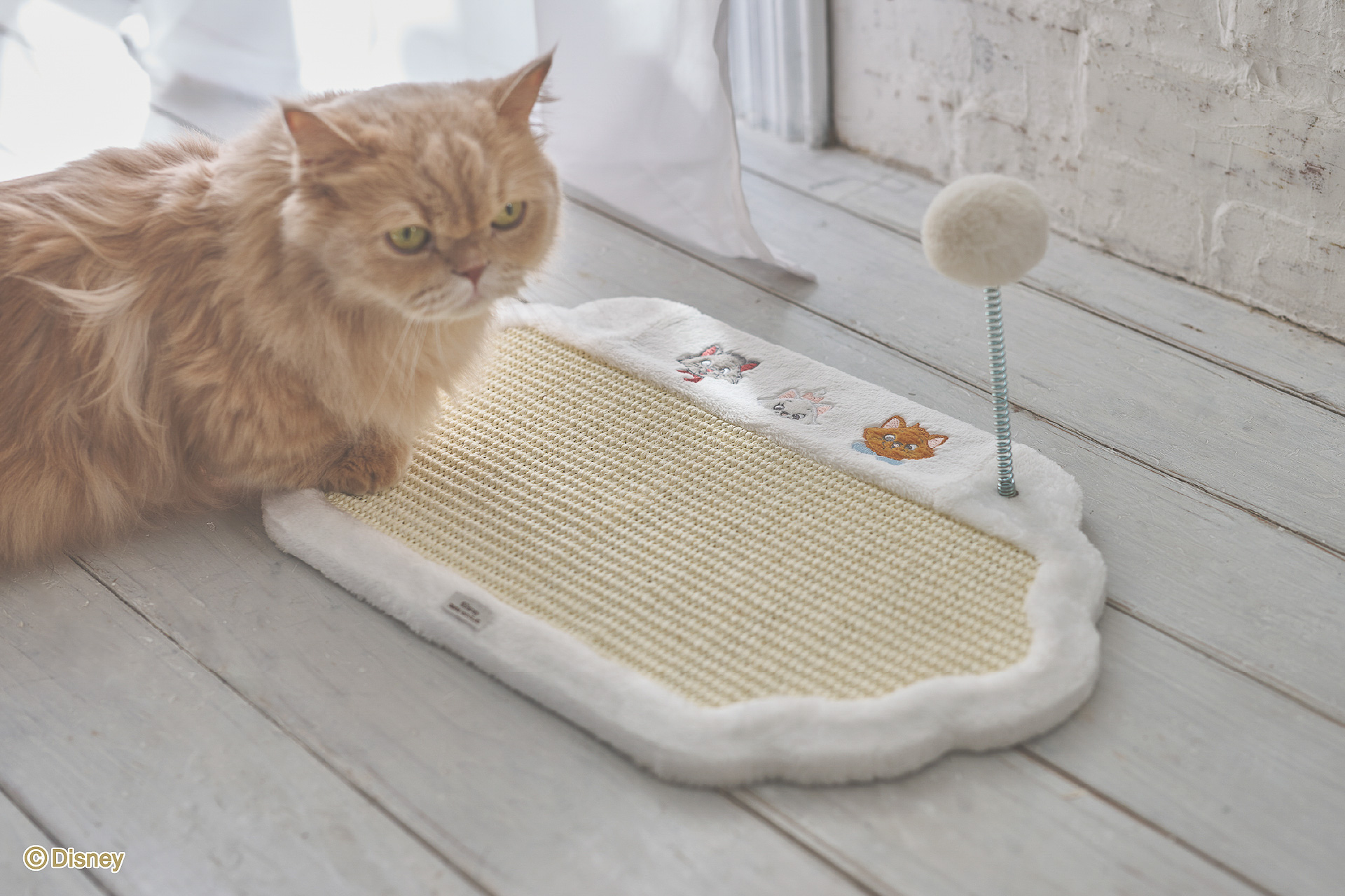 「爪とぎプレート」（4400円）