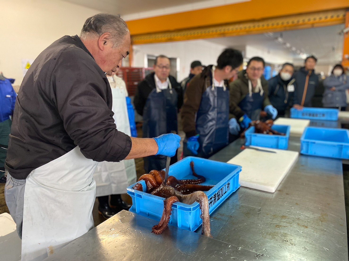 さばき体験（地元漁師さんの教えのもとでさばいていきます）