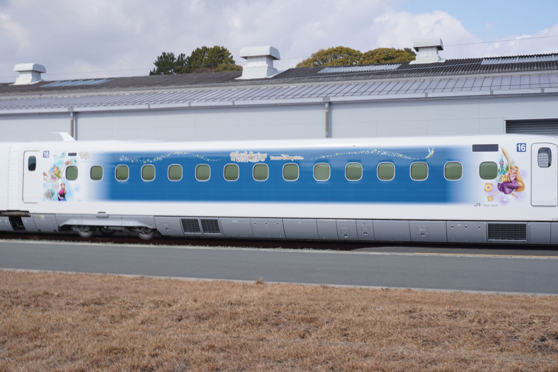 3つのテーマエリアを1つにしたデザイン（16号車）