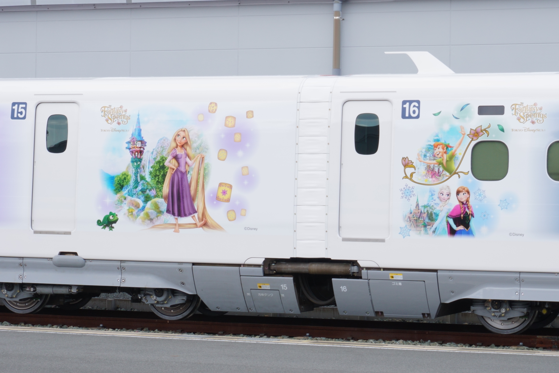 15・16号車（ラプンツェルの森、3つのテーマエリア）