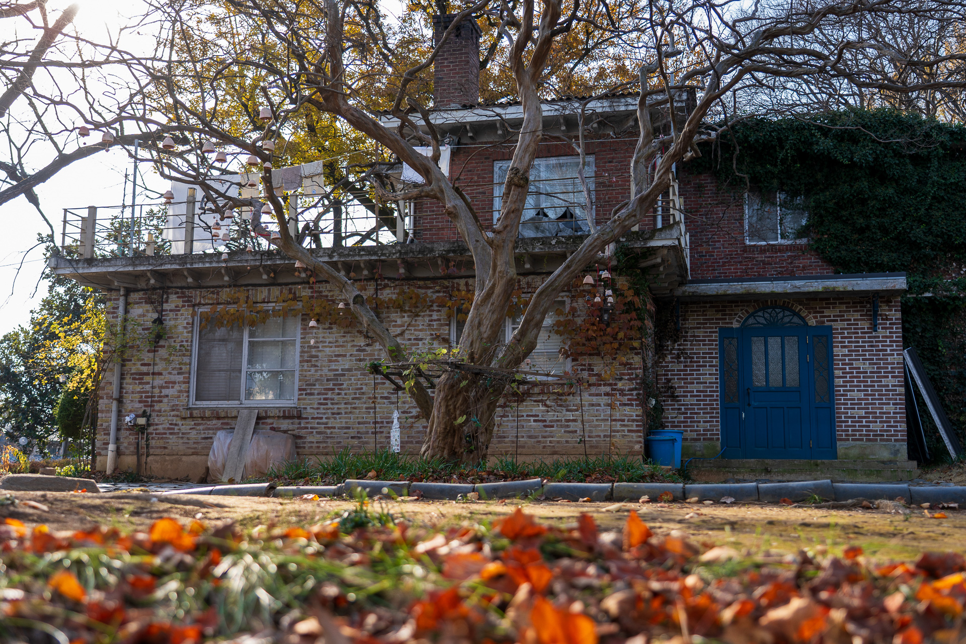 「近代歴史文化村」とも呼ばれる楊林洞一帯はお散歩にお勧め