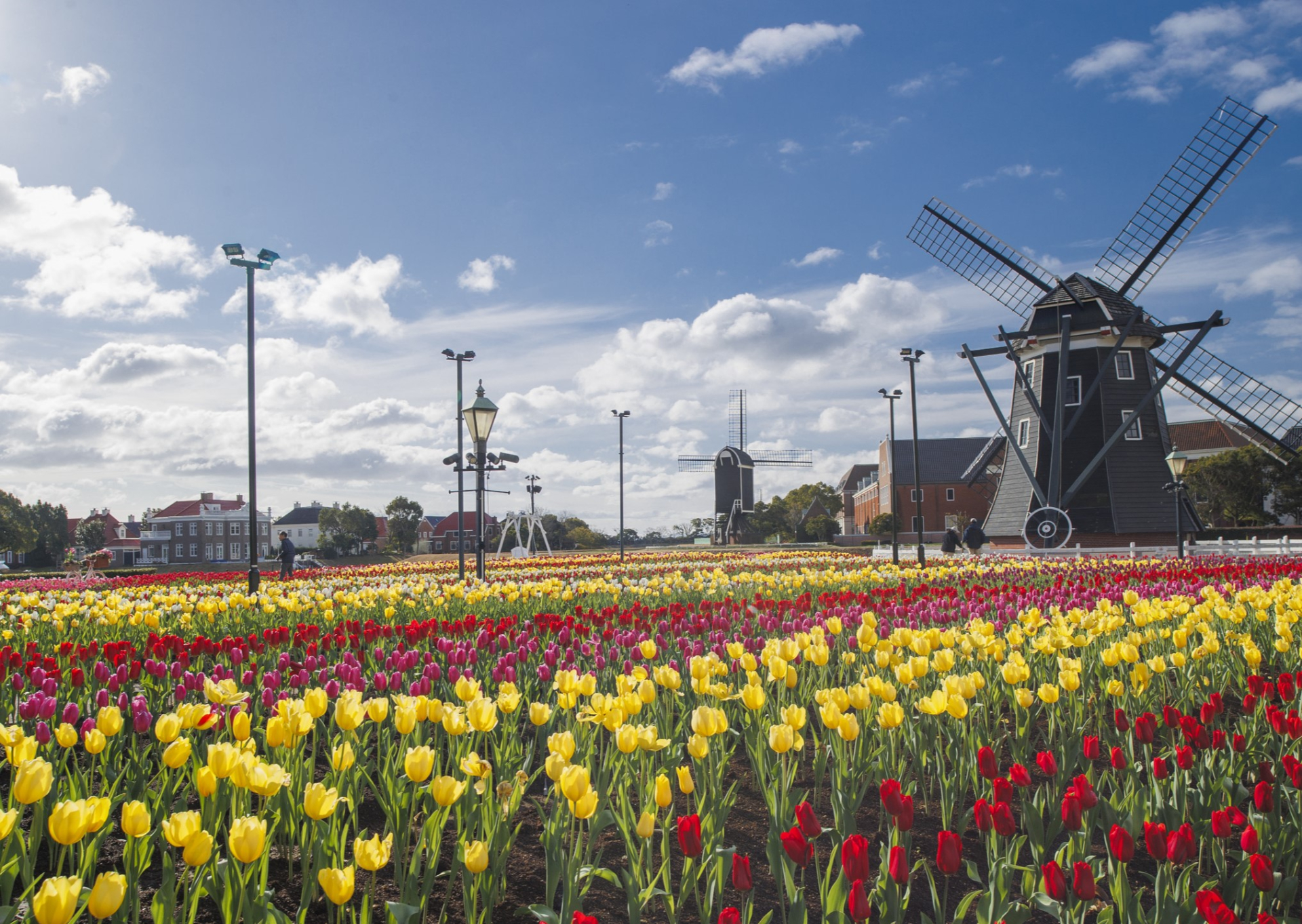 「100万本のチューリップ祭」（2月7日～4月6日）