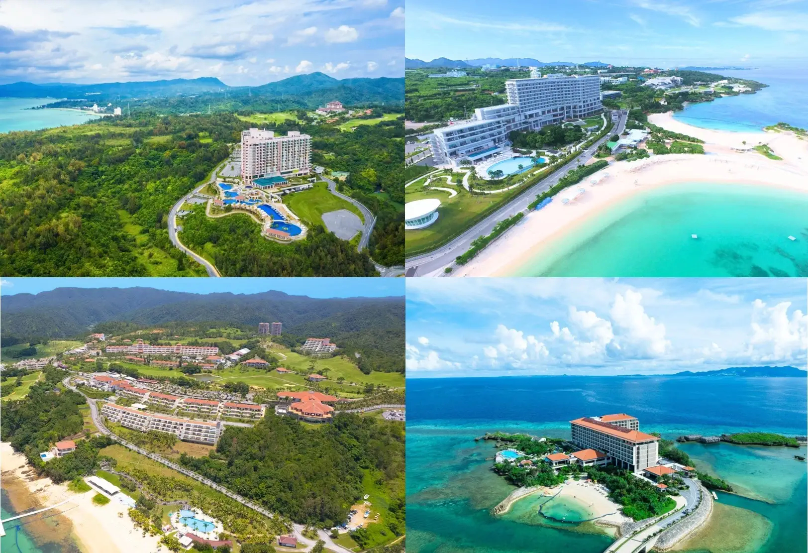 7月25日に開業する「ジャングリア沖縄」のオフィシャルパートナー決定