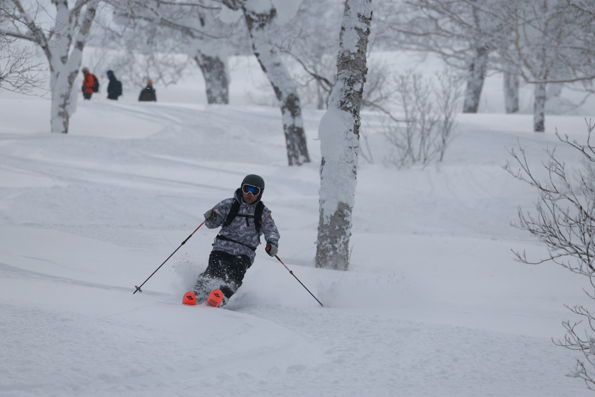 木々の間をすり抜けて滑るツリーラン