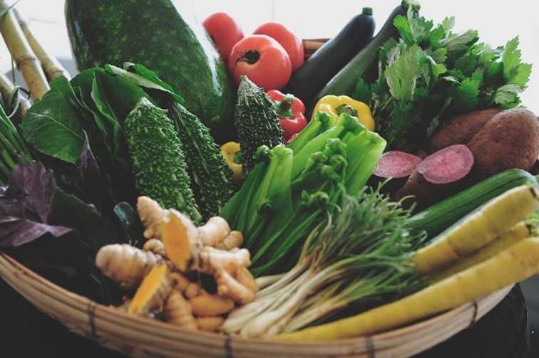 島内で収穫できる食材