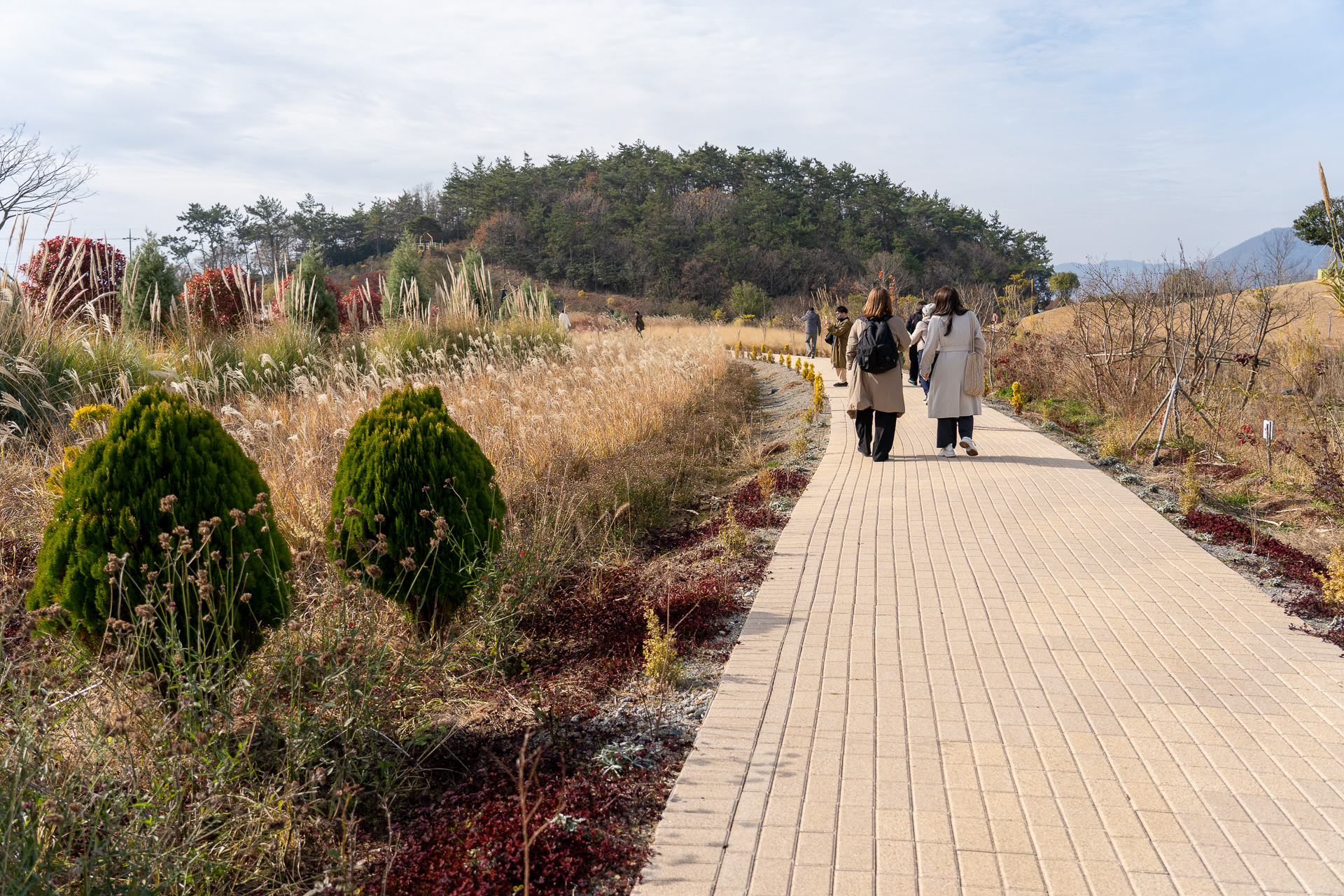 自然本来の色を楽しめる景色。遊歩道を歩いていても心休まる感じ