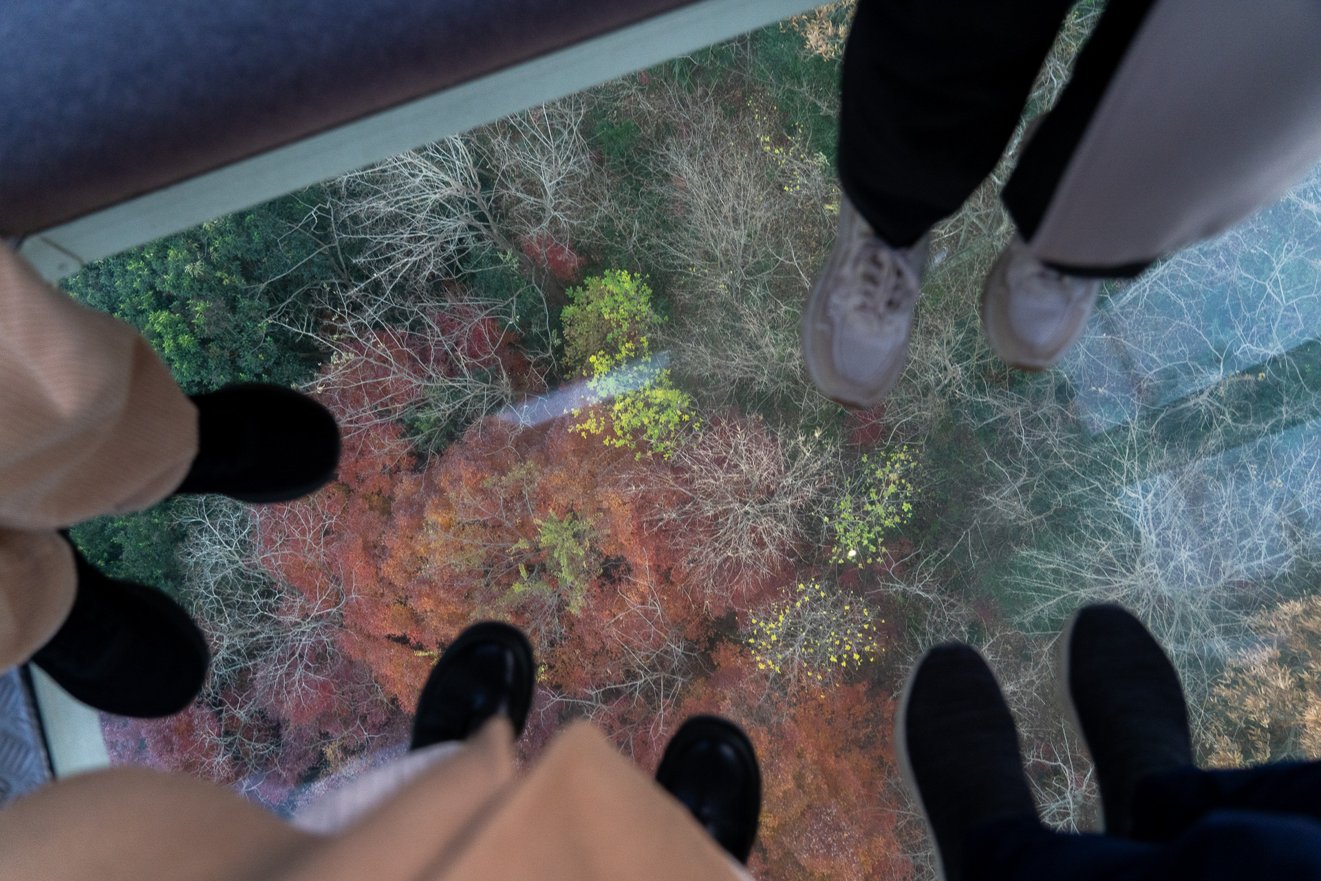 クリスタルキャビンの足元