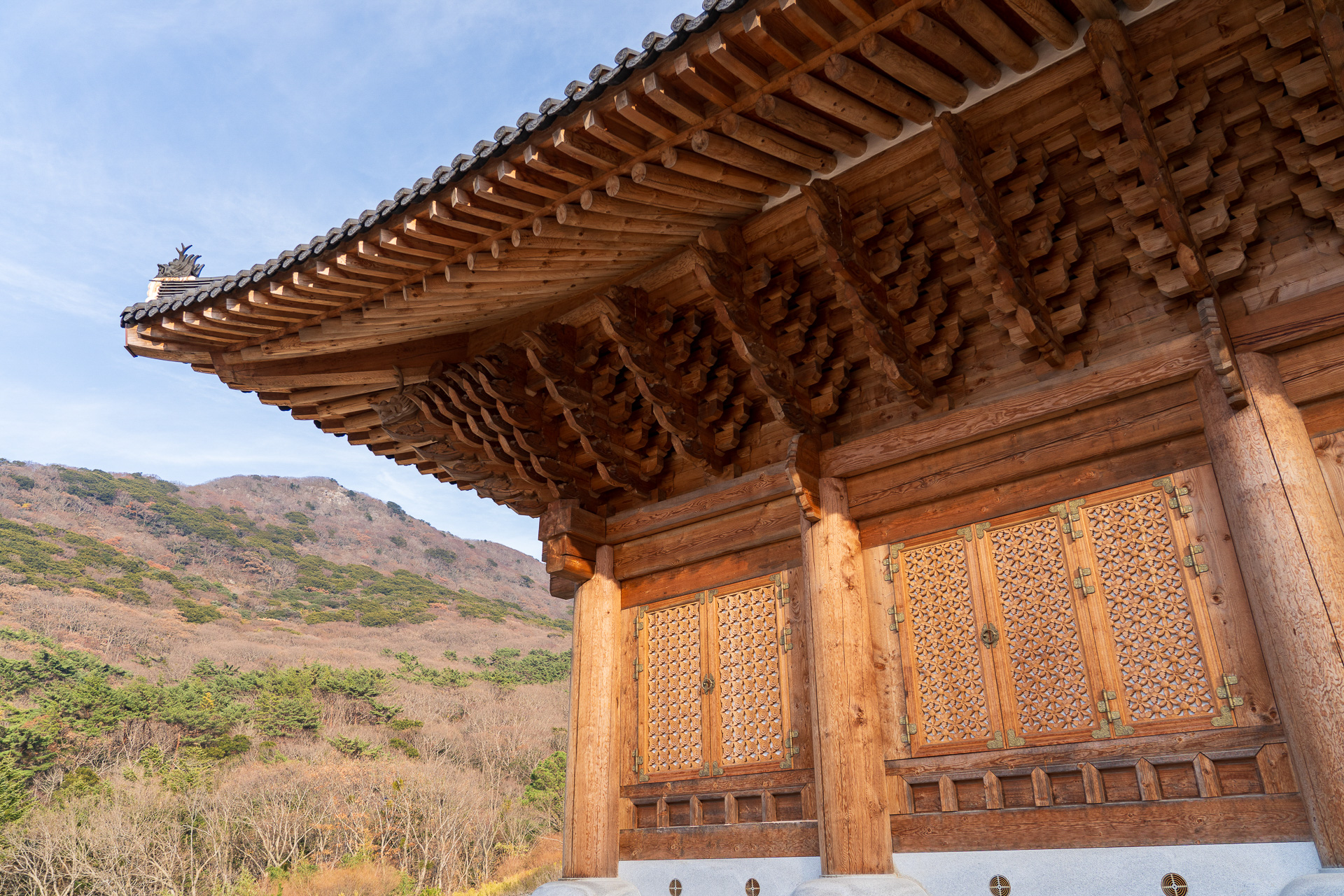 あまりに大き過ぎて写真では伝わらない護国大殿。最近完成したという建物