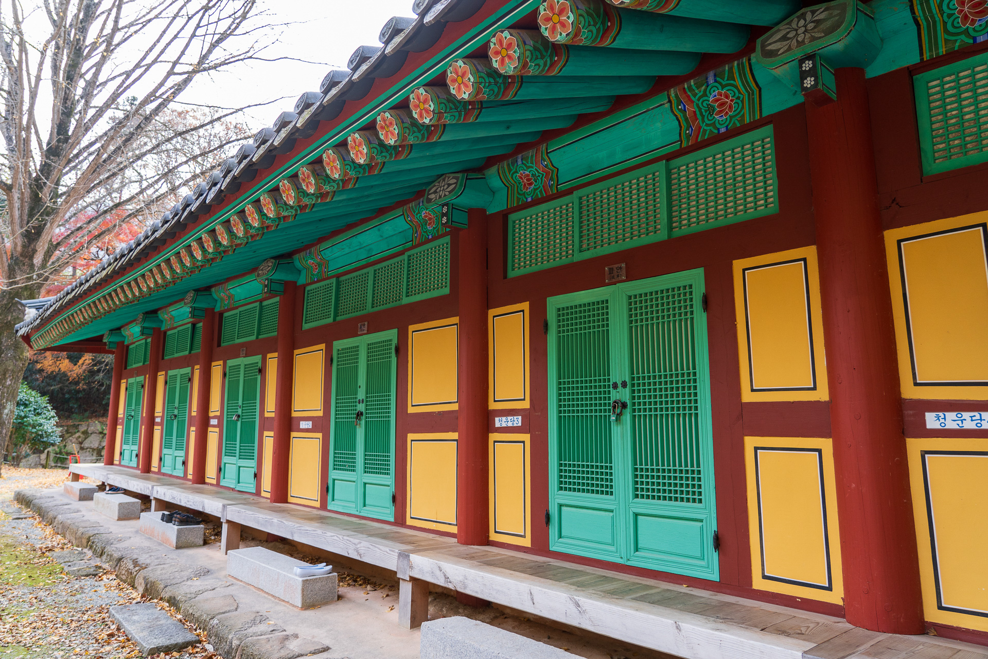 寺院宿泊プログラム「テンプルステイ」が観光客にも人気