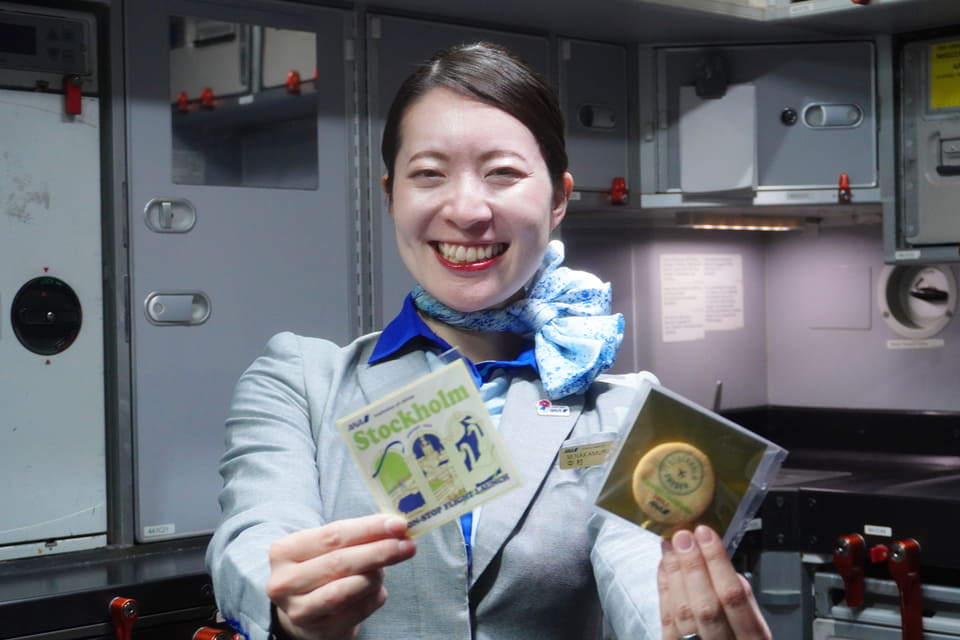 ANAの直行便でスウェーデンに行ってきた！ 北回りルートで約14時間の長