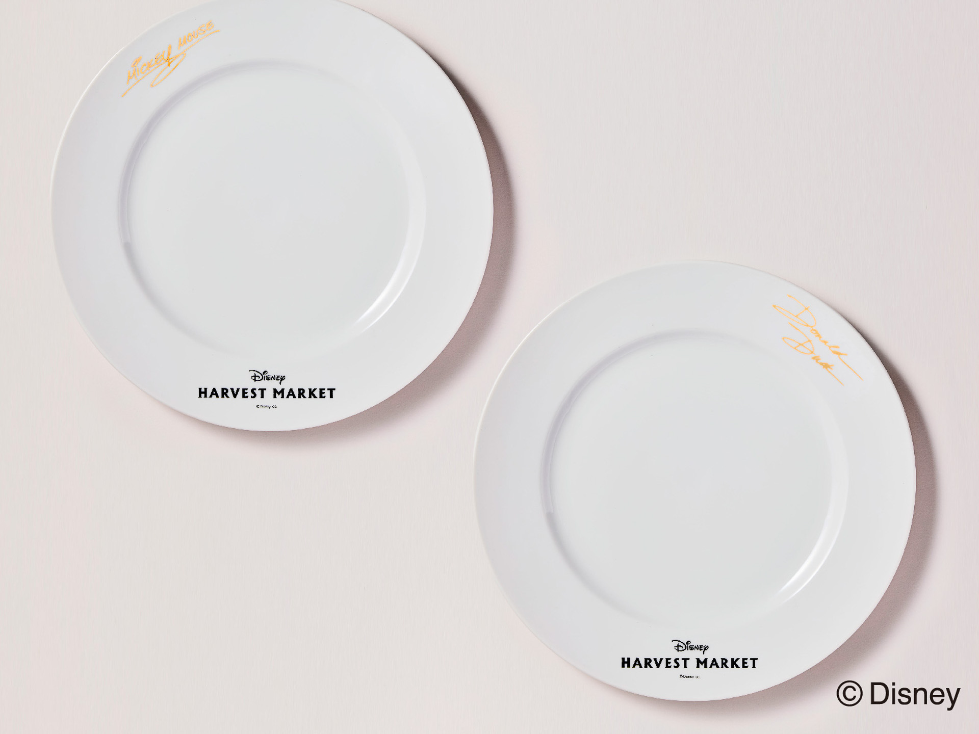 ミッキーマウスとドナルドダックのサイン入り