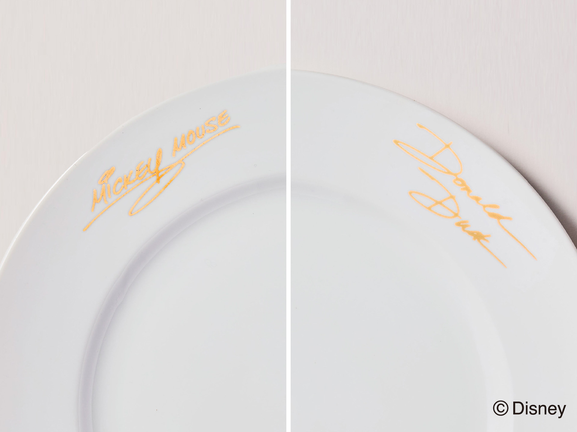 ミッキーマウスとドナルドダックのサイン入り