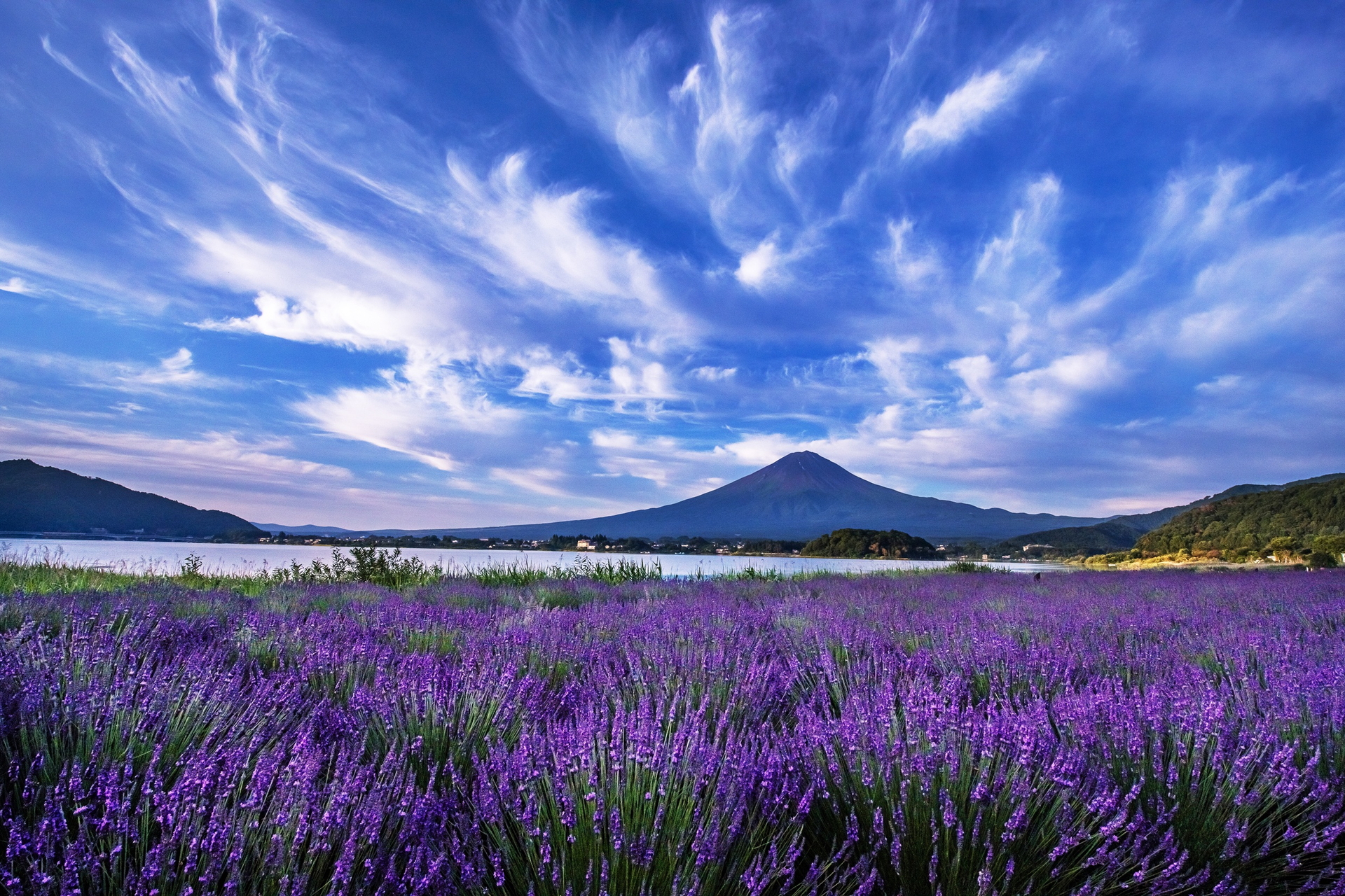 「河口湖ハーブフェスティバル」6月21日～7月21日開催