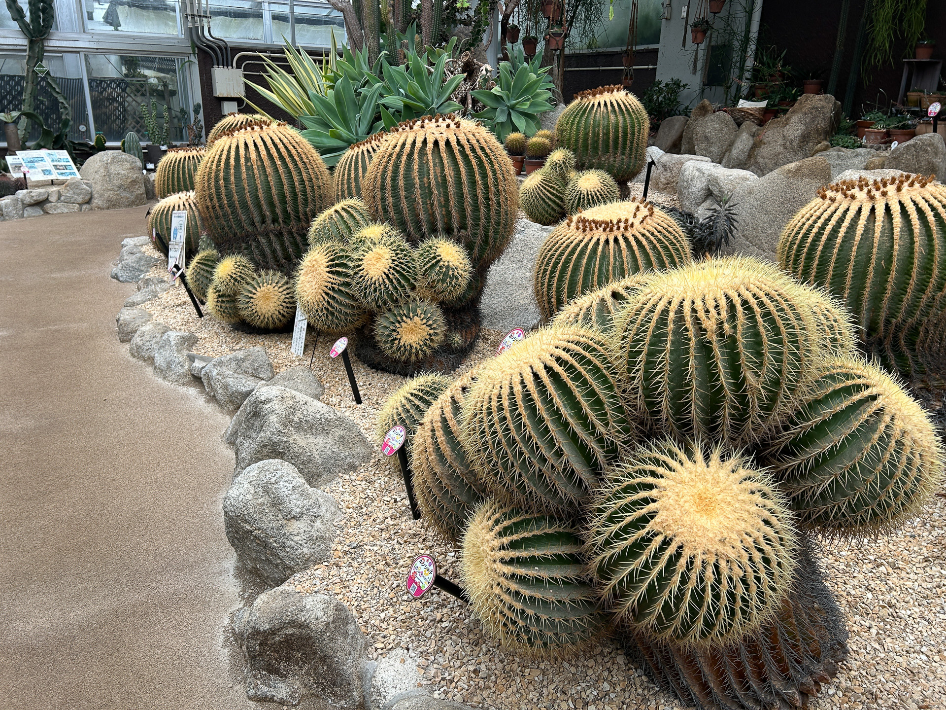 福岡市植物園（温室の様子）