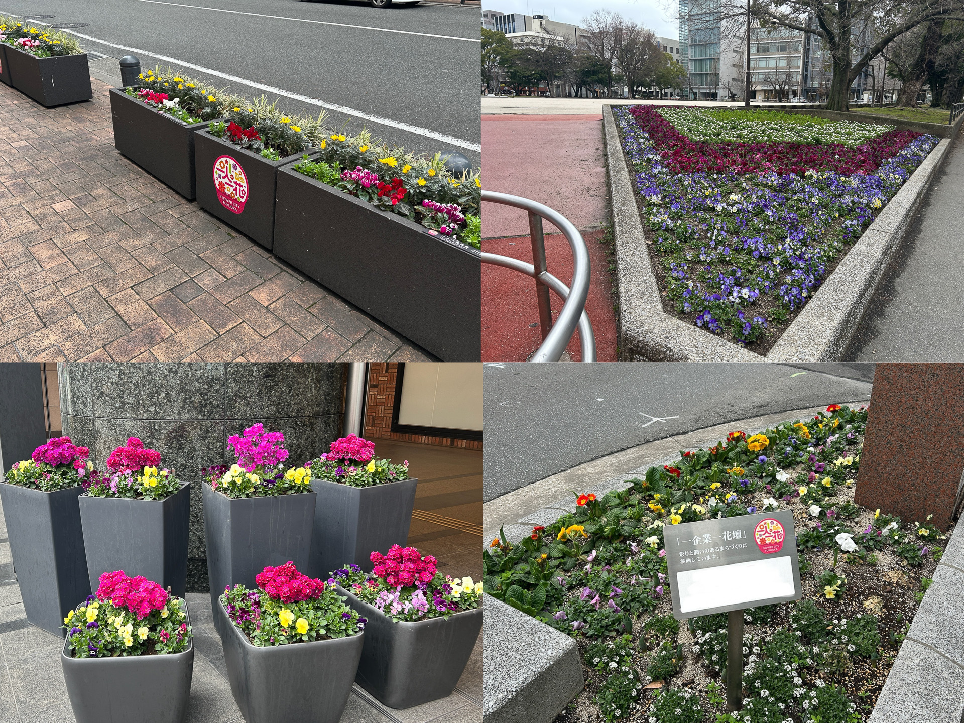 福岡市の街中にある花壇の様子