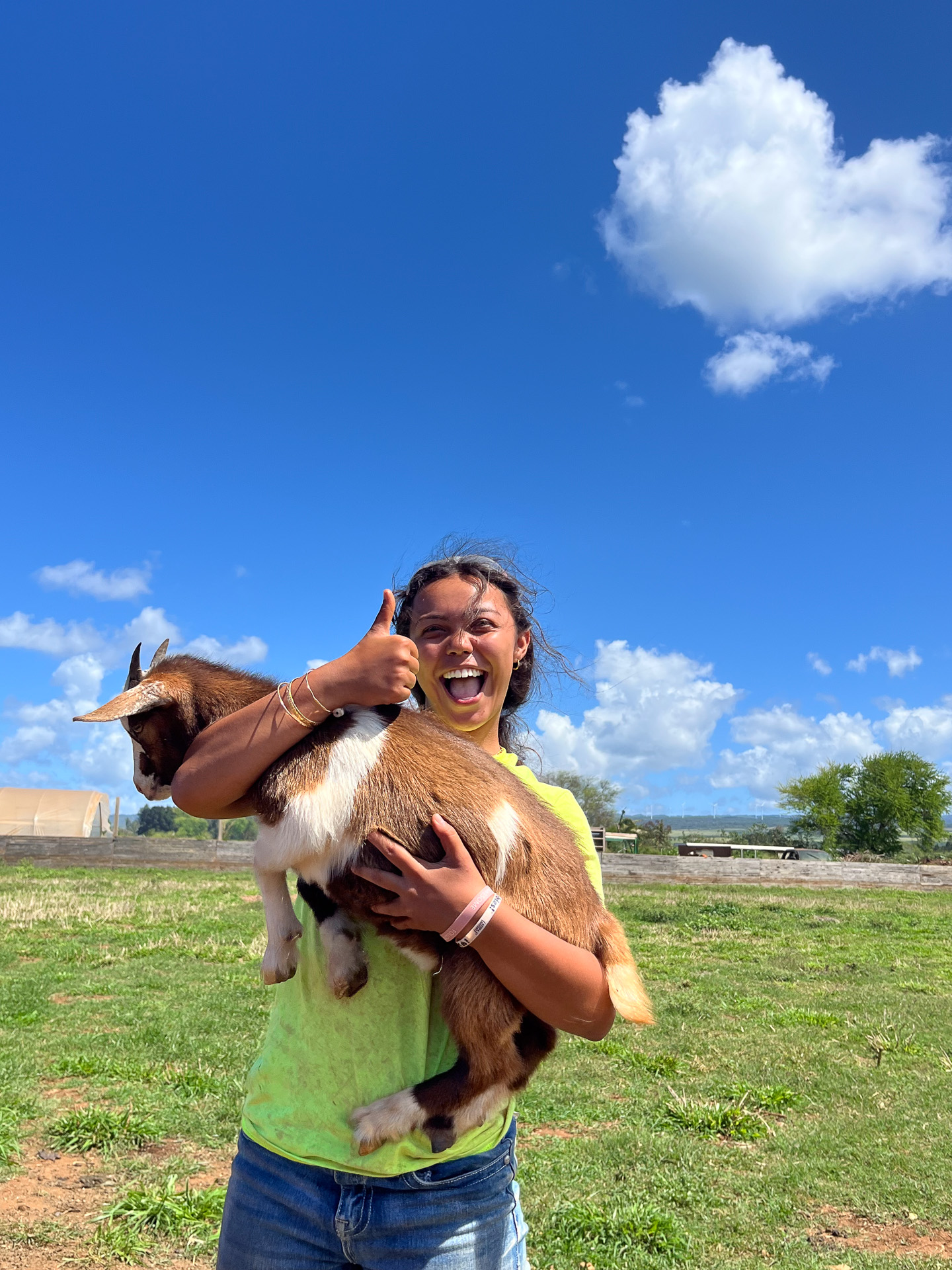 スタッフに懐いていた（我々が触ることはできない）