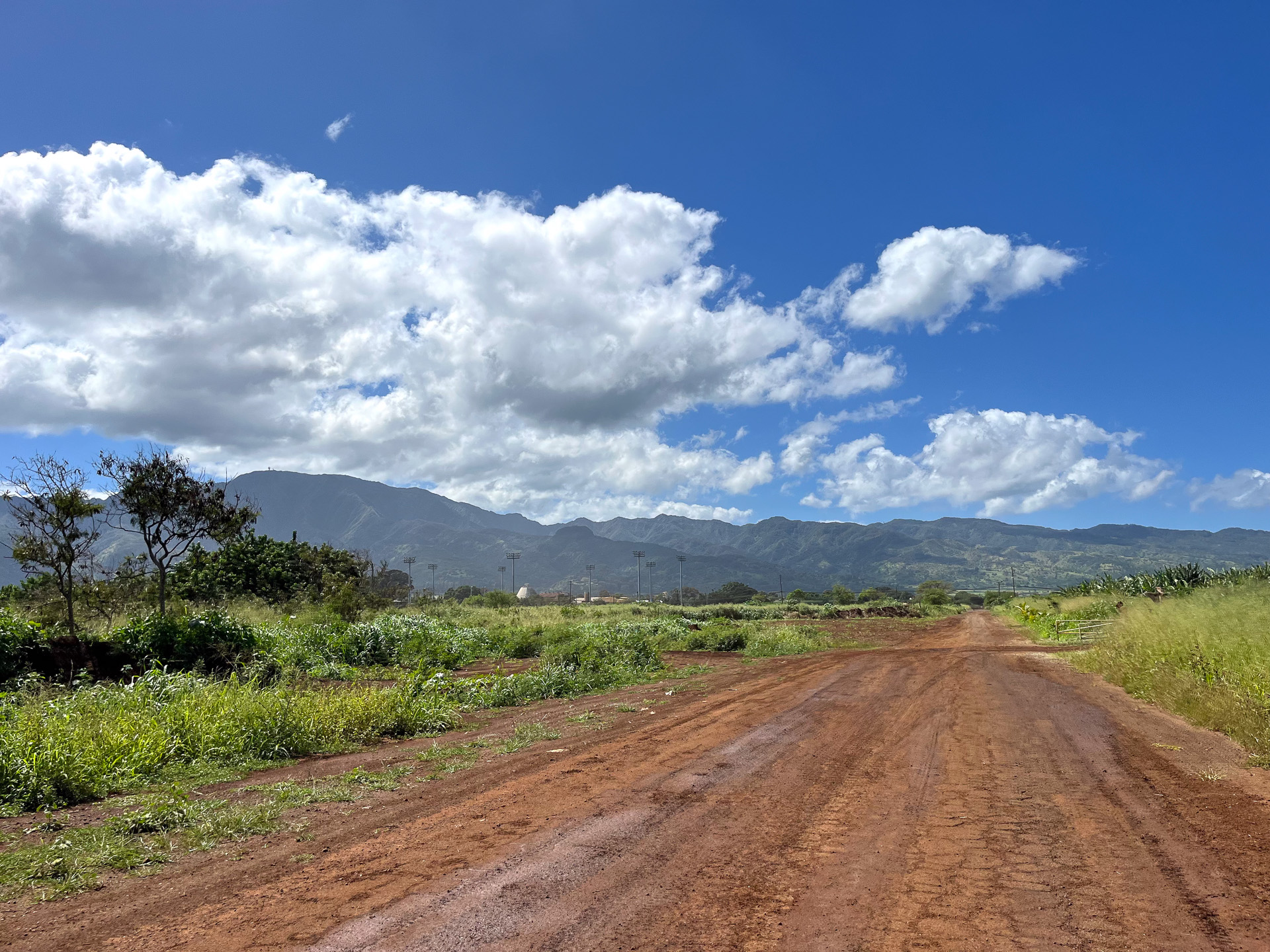 後ろを振り向くと山々が連なっていた