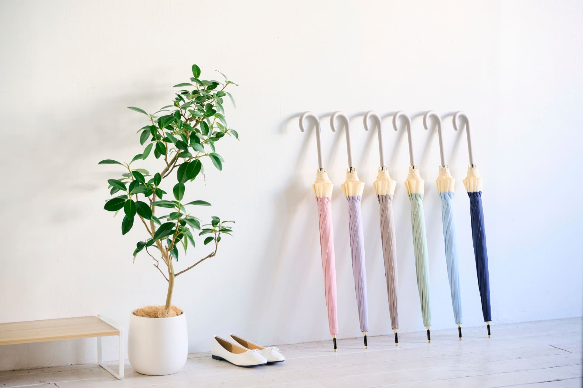 トップバリュ 丈夫な12本骨傘