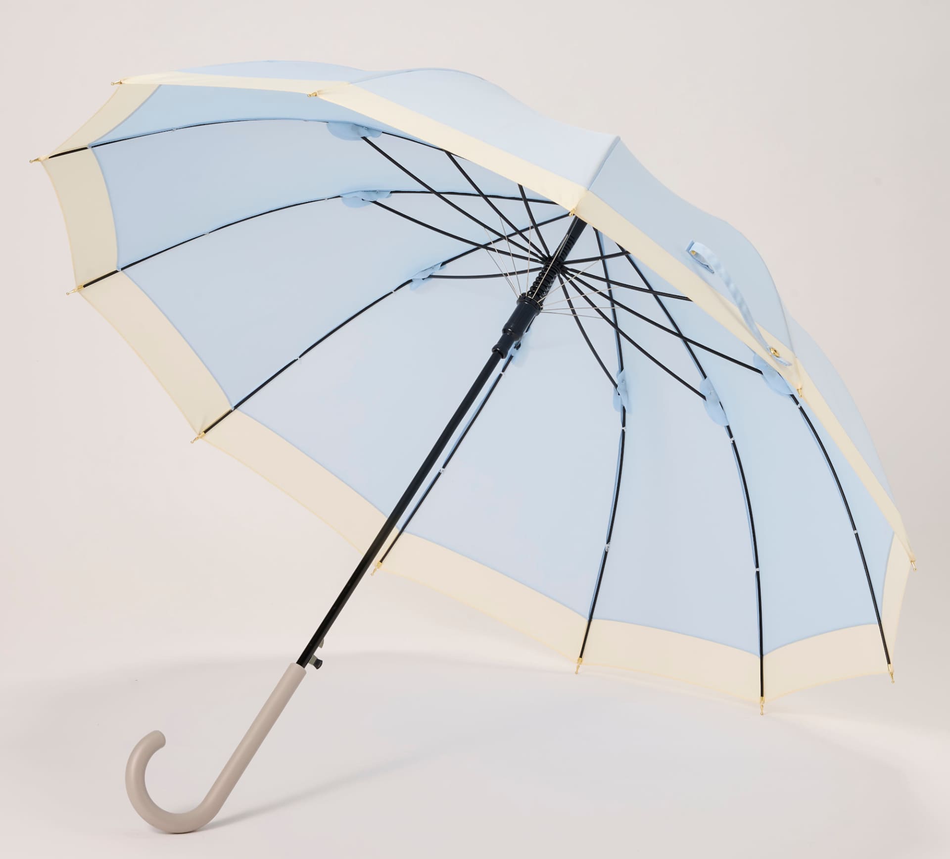 トップバリュ 丈夫な12本骨傘