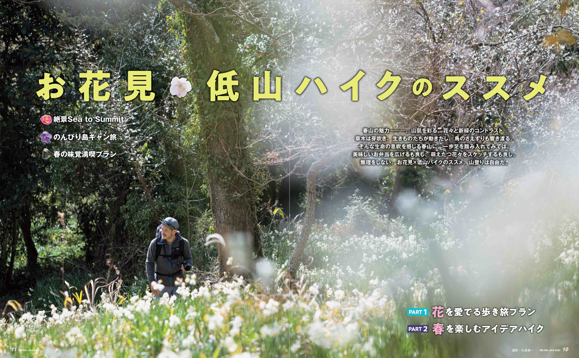 BE-PAL 2025年4月号