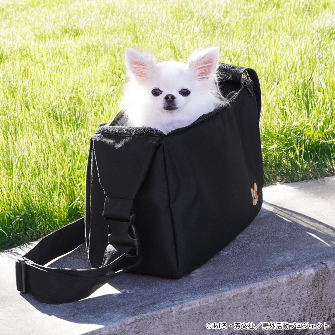 愛犬との散歩用にも使用可能