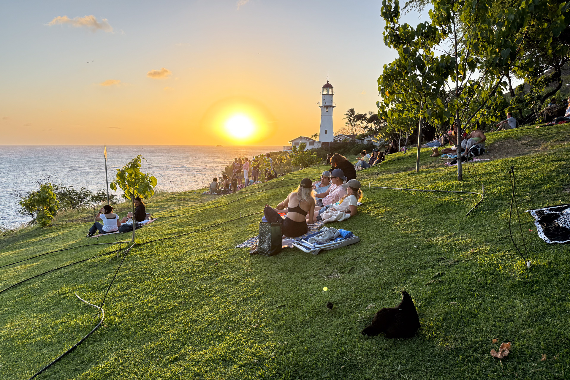 日本とハワイのつながりを創造するJALのプロジェクト「'OLU'OLU! Honolulu!」